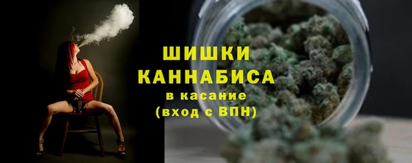 индика Пролетарск