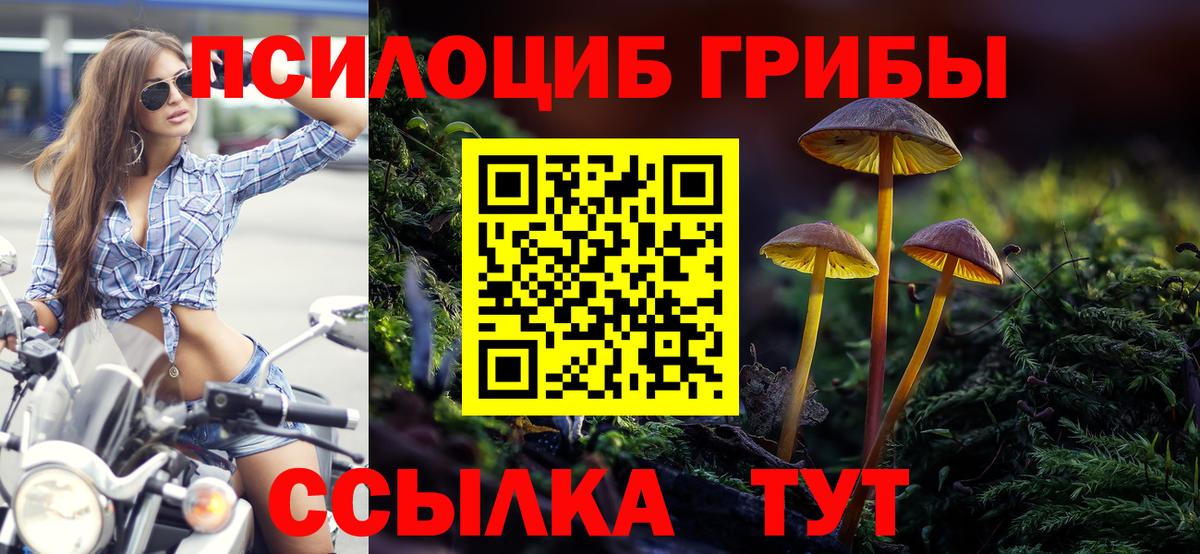 Галлюциногенные грибы Cubensis Великие Луки