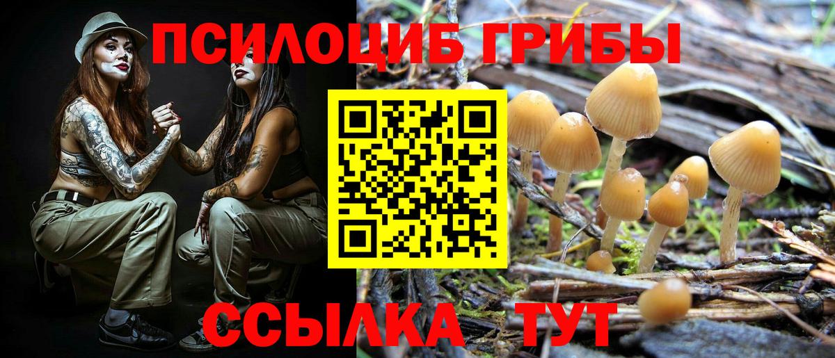 Галлюциногенные грибы Psilocybine cubensis  Вход с VPN  Великие Луки 