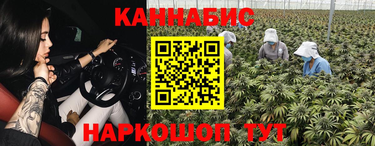 Каннабис MAZAR  Конопля OG Kush  Вход с VPN  Шишки марихуана SATIVA & INDICA  Великие Луки  Шишки марихуана THC 21% 